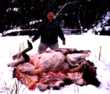 skinning moose